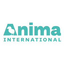 Anima International