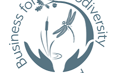BFBI - Business For Biodiversity Ireland