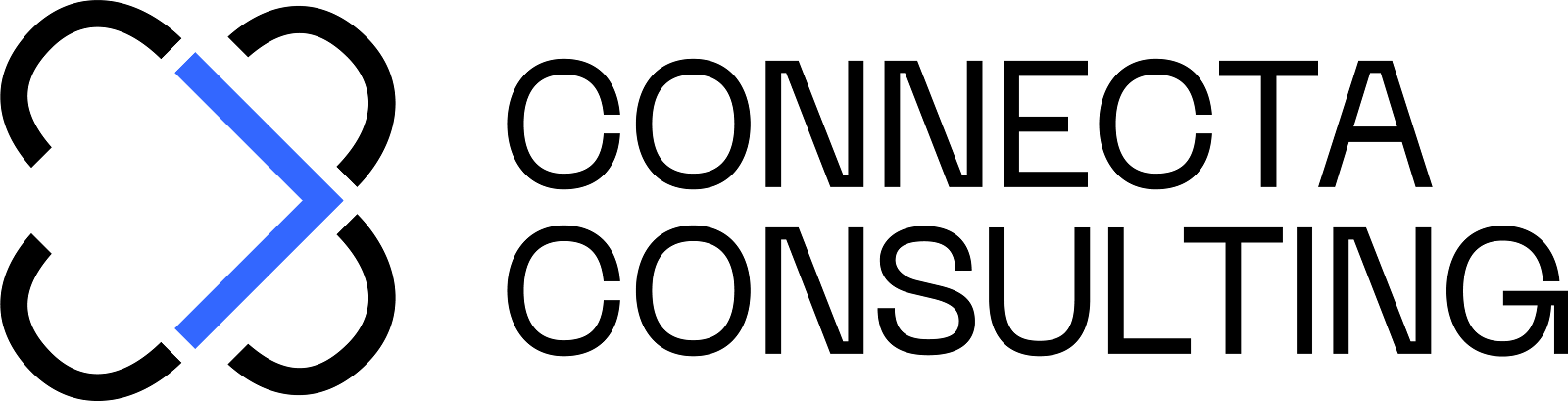 Connecta Consulting Group