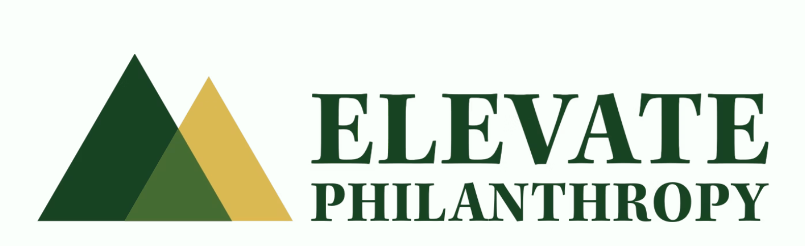 Elevate Philanthropy