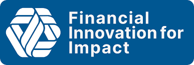 Financial Innovation for Impact