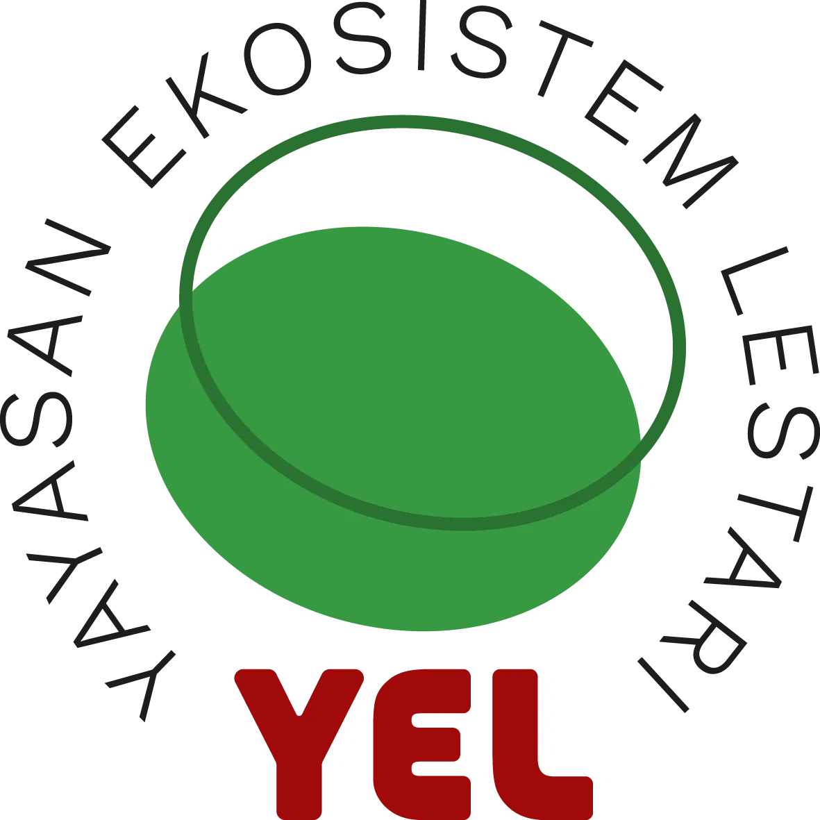 Director Oruang Utan Haven YEL Yayasan Ekosistem Lestari